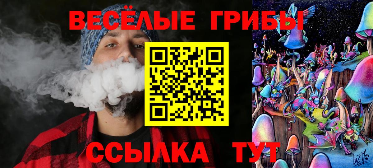 Рузаевка  Галлюциногенные грибы GOLDEN TEACHER  Вход с VPN 