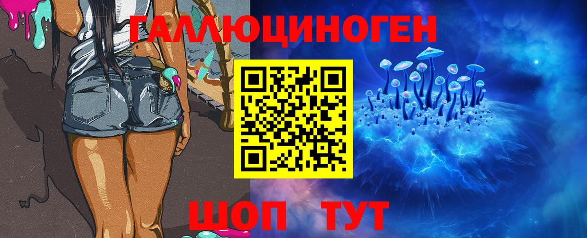 Псилоцибиновые грибы Psilocybine cubensis Рузаевка